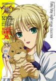 Fate/Stay Night rWARNV
